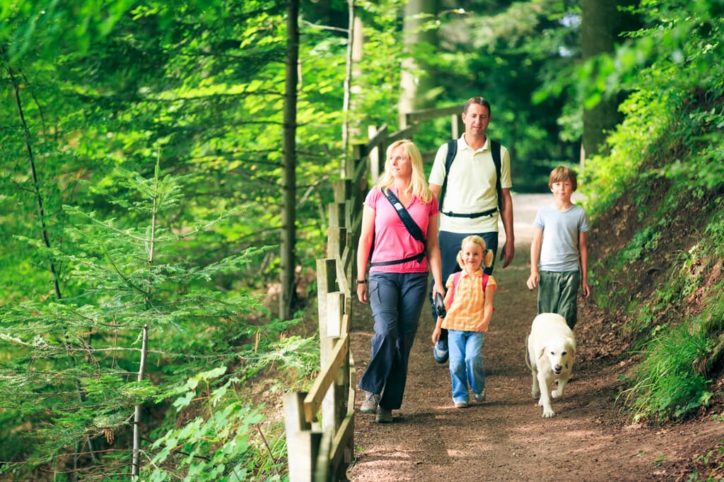 Blockhäuser & Chalets Bayerischer Wald  in Bad Kötzting
