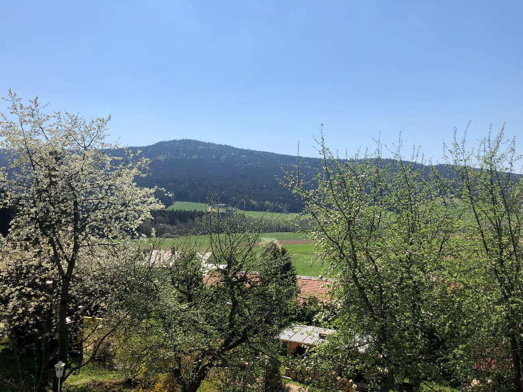 Steinbühler Hof - Stressfrei am Lande in Bad Kötzting