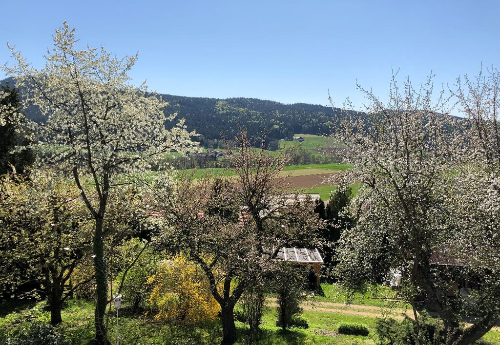 Steinbühler Hof - Stressfrei am Lande in Bad Kötzting