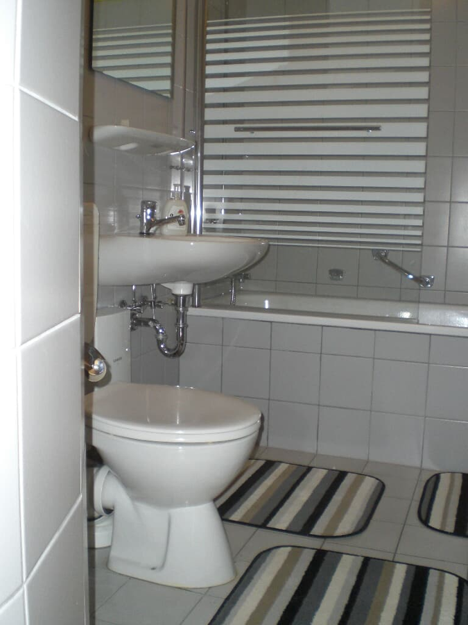 Wildgatter Siebachmeyer in Grafenwiesen