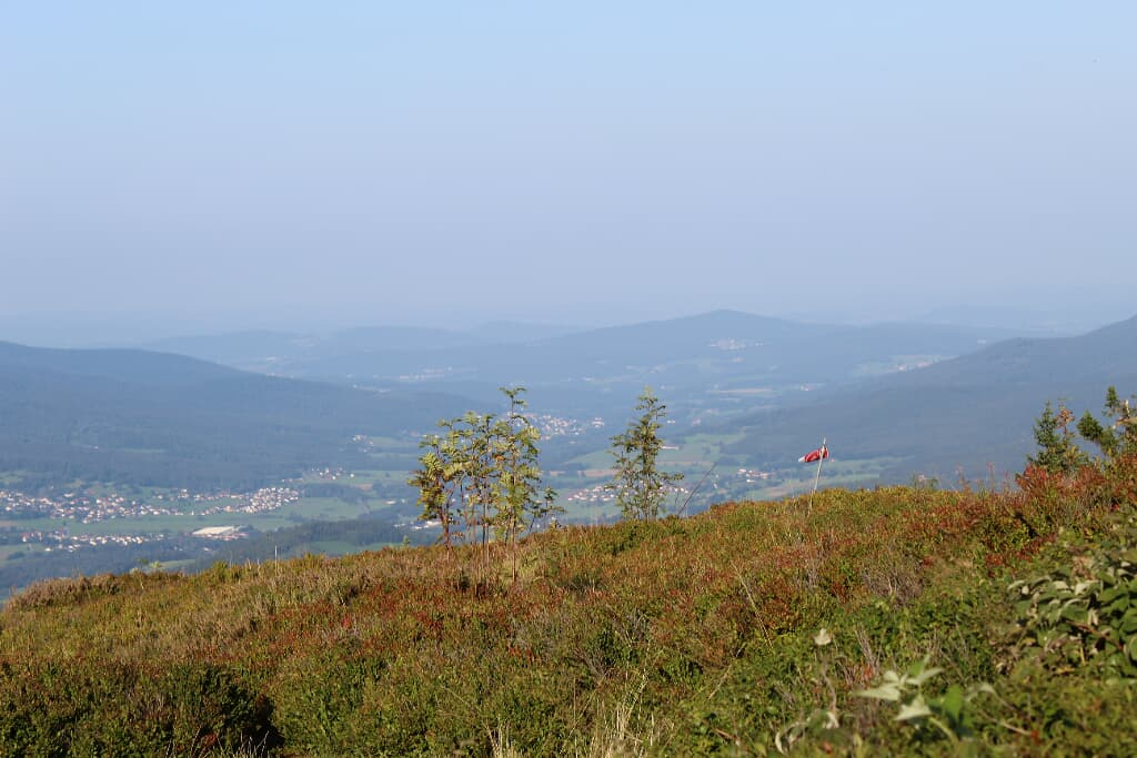 Wander & Aktivhotel Rösslwirt – WALD. GENUSS. HEIMAT in Lam