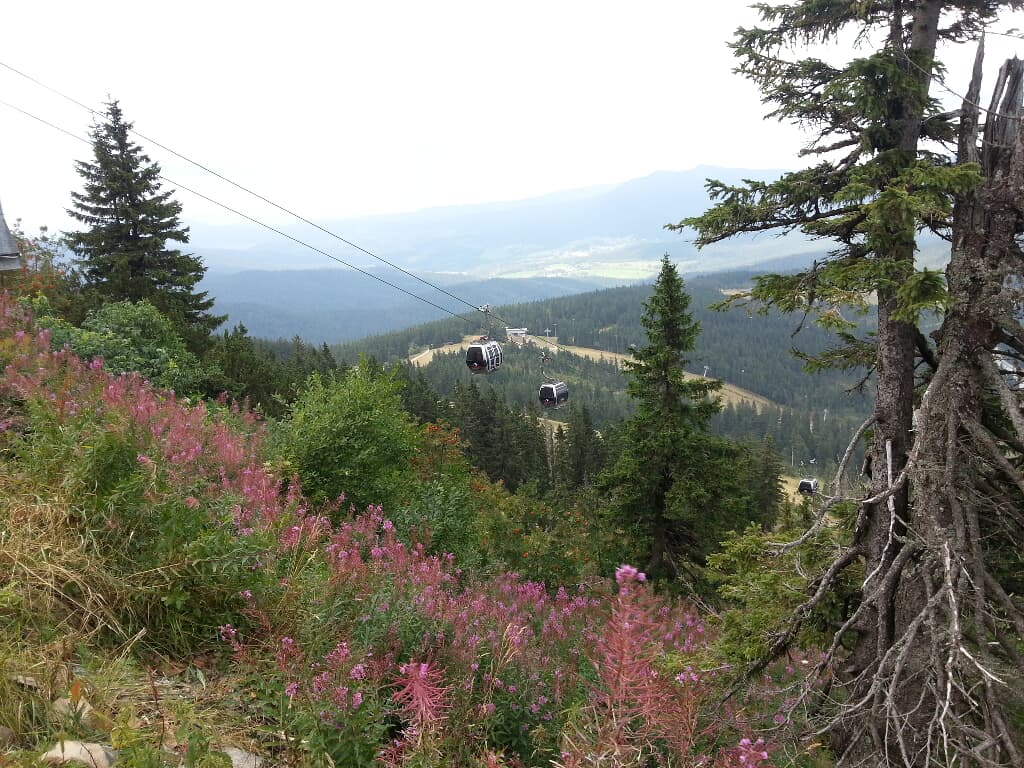 Gästehaus Klingseisen in Lam