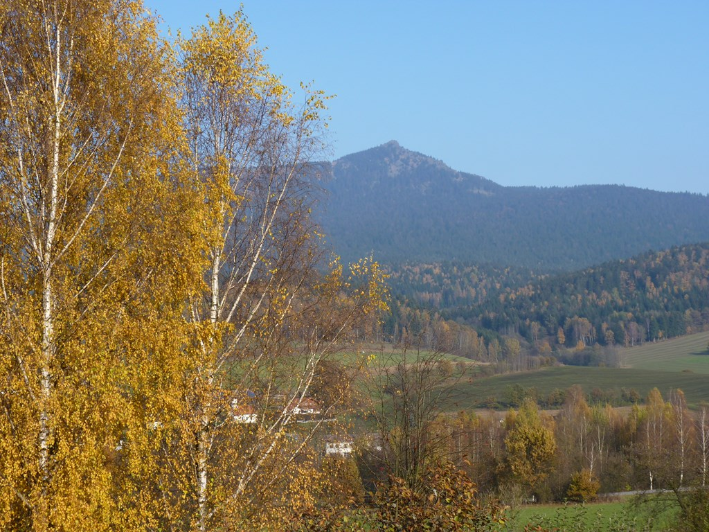 Mühlbauer Lydia in Lam