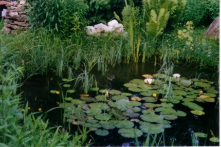 Sperl Josef in Lam