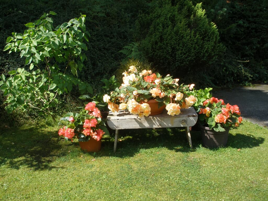 Schmid Franziska in Lam