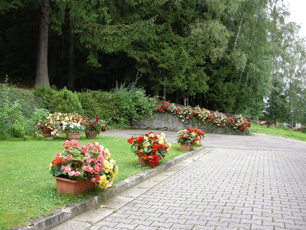 Schmid Franziska in Lam