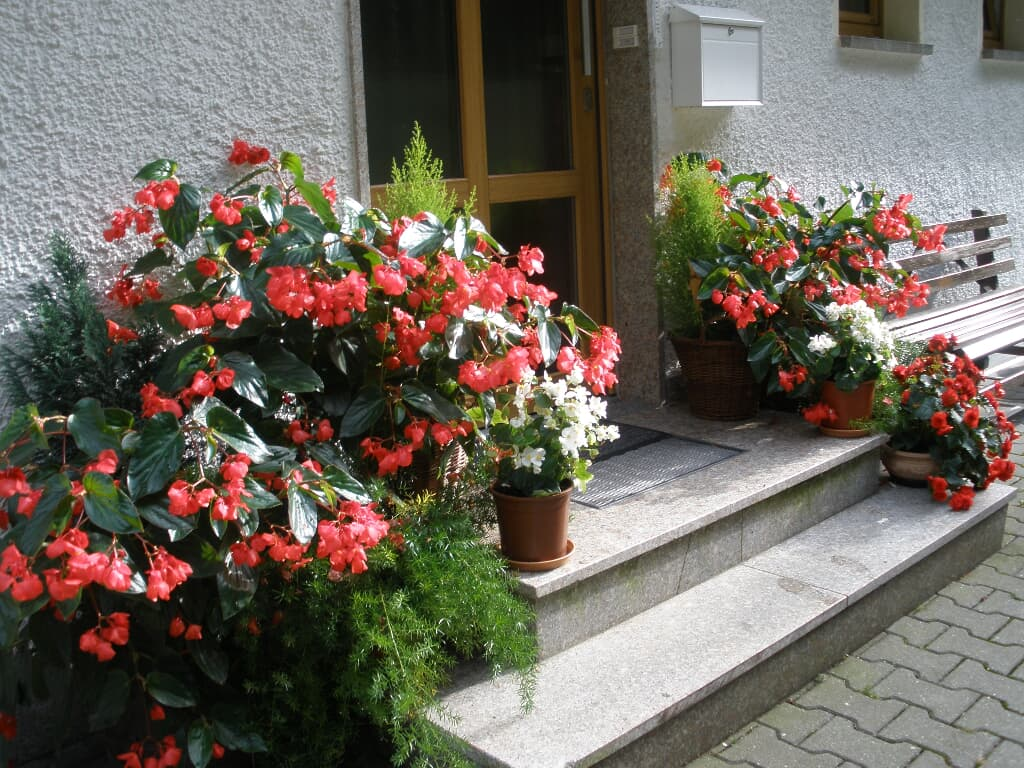 Schmid Franziska in Lam