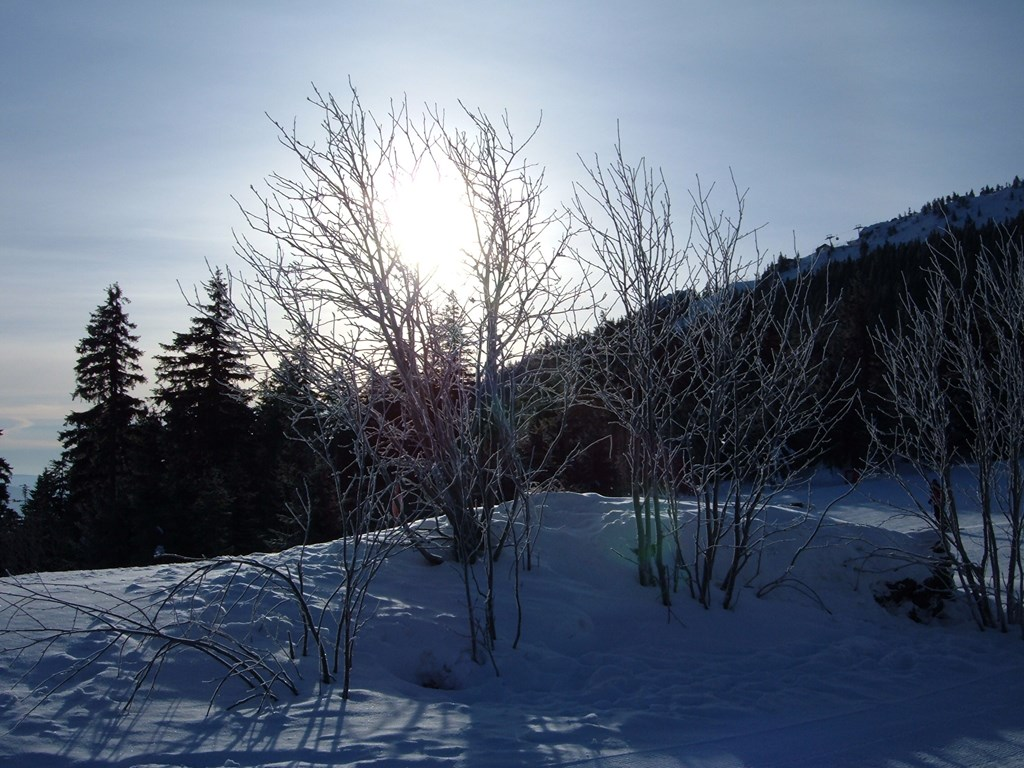 Koller Josef und Erna in Lam