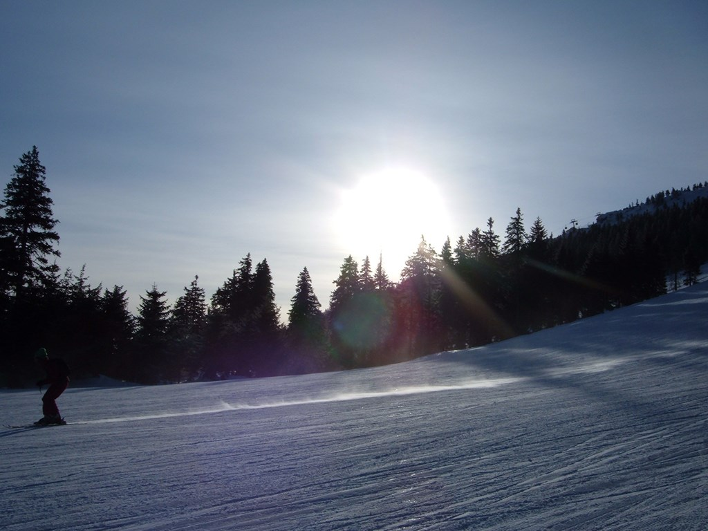 Koller Josef und Erna in Lam