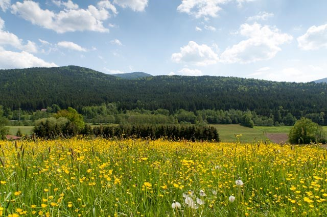 Huisl´s Wohlfühlhof-