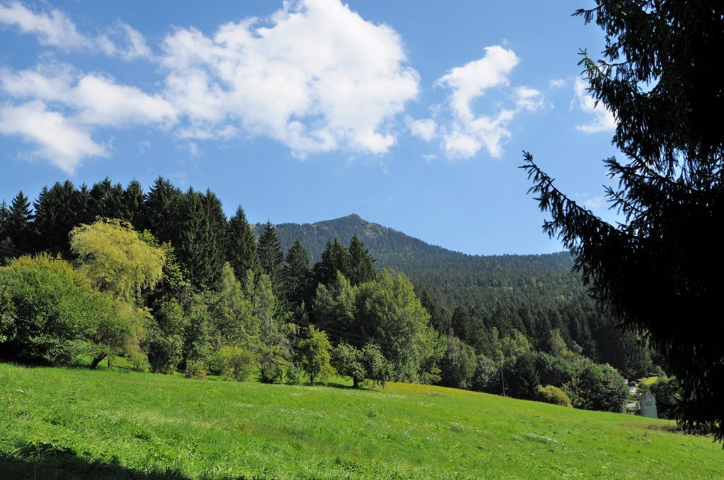 Fieß Annelie in Lam