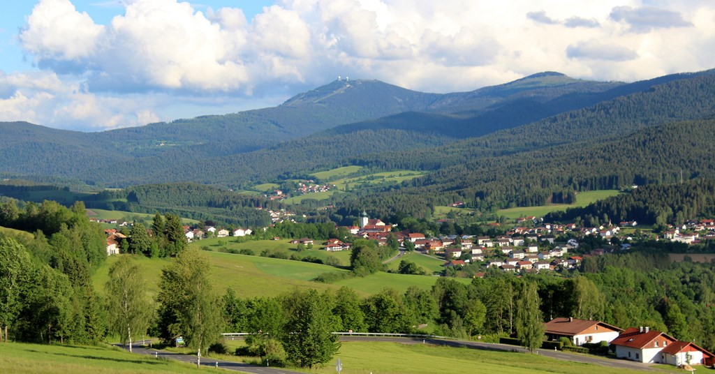Woidhaisl in Lam