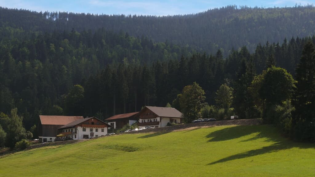 Zum Veitbauern in Lam