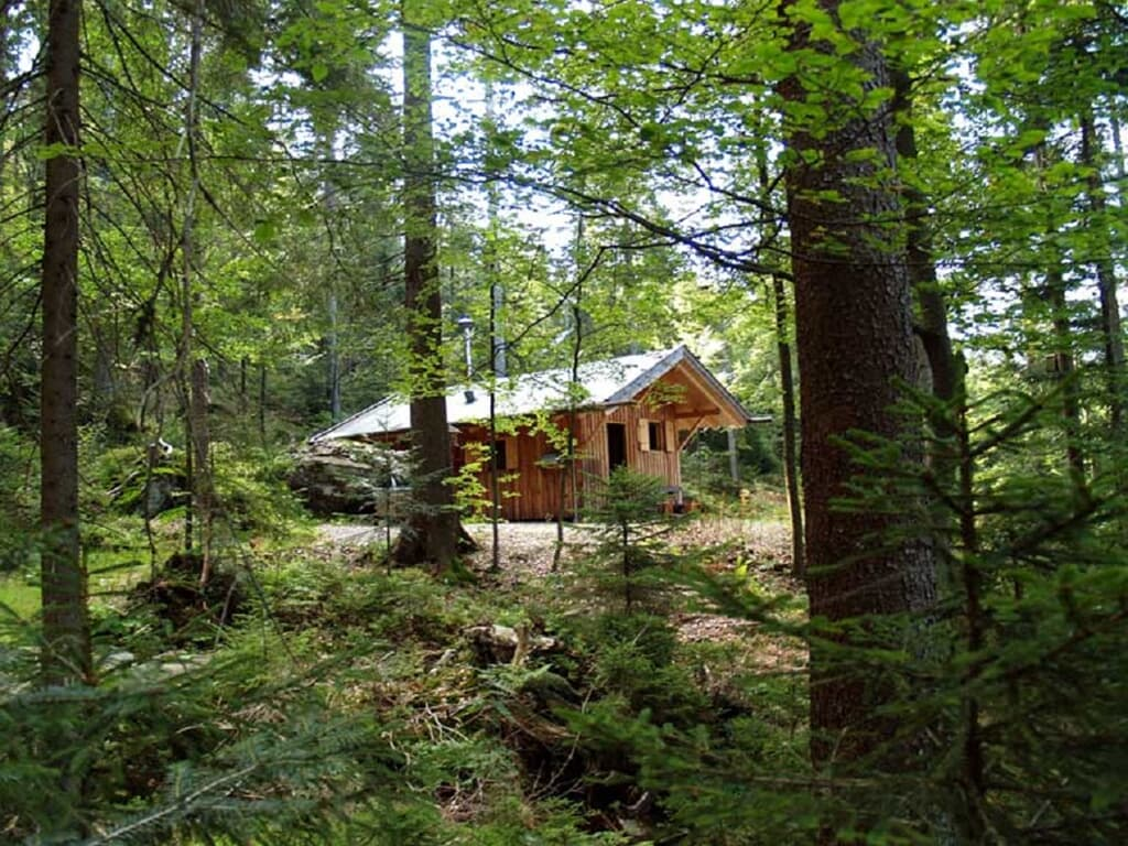 Zum Veitbauern in Lam