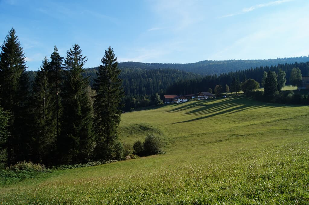 Zum Veitbauern in Lam