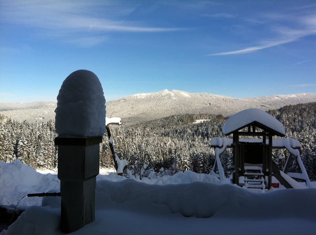 Zum Veitbauern in Lam