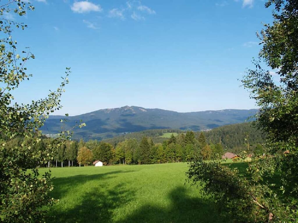 Zum Veitbauern in Lam