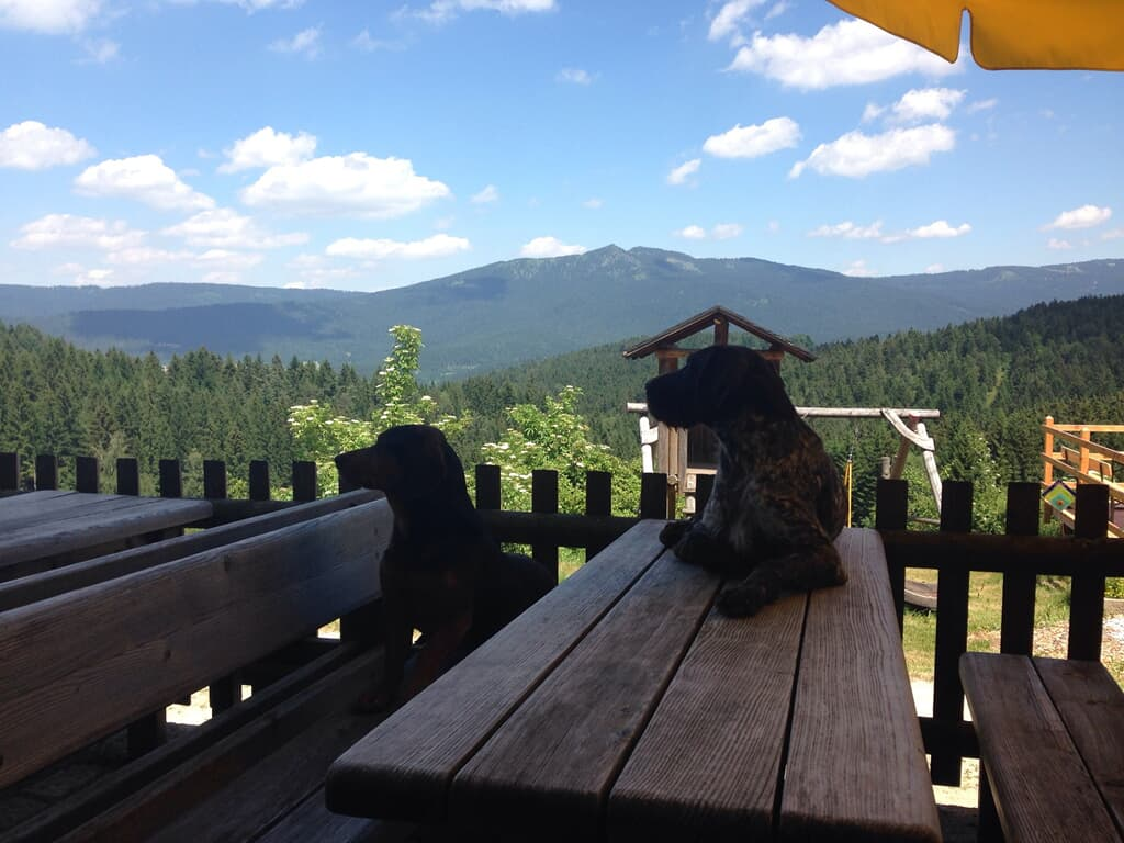 Zum Veitbauern in Lam