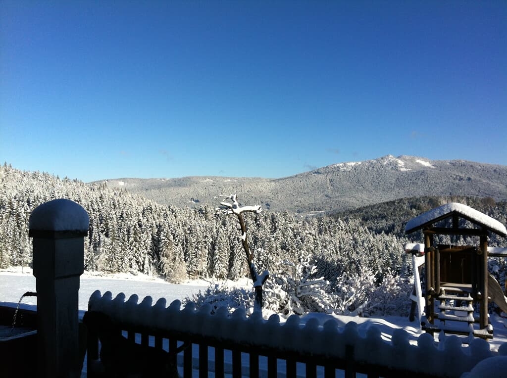 Zum Veitbauern in Lam