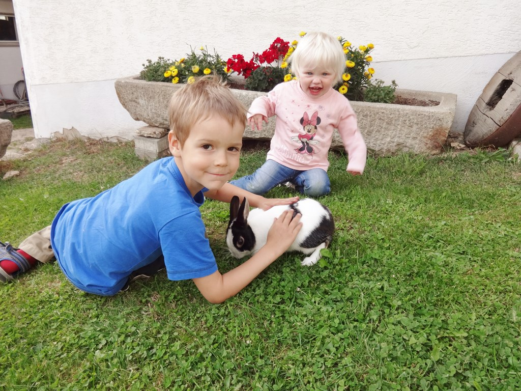 Urlaub auf dem Haberlhof in Lohberg