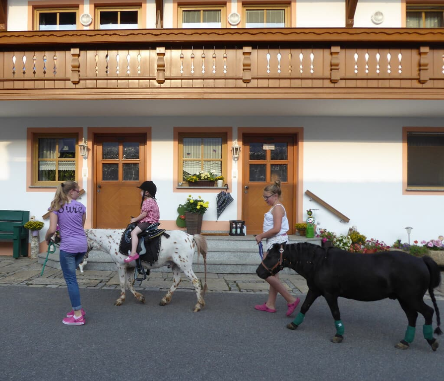 Fischerhof in Blaibach