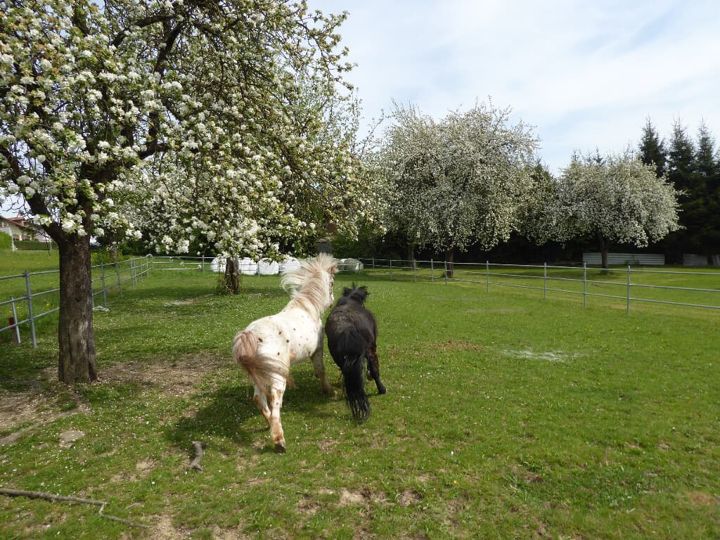 Fischerhof in Blaibach