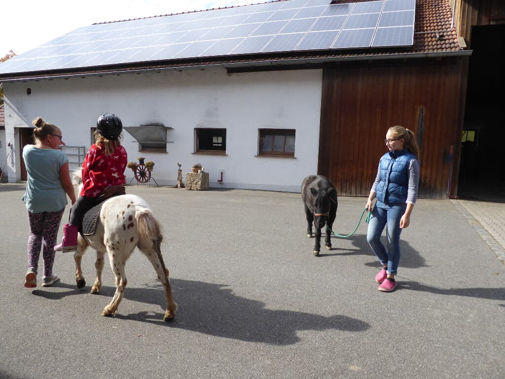 Fischerhof in Blaibach