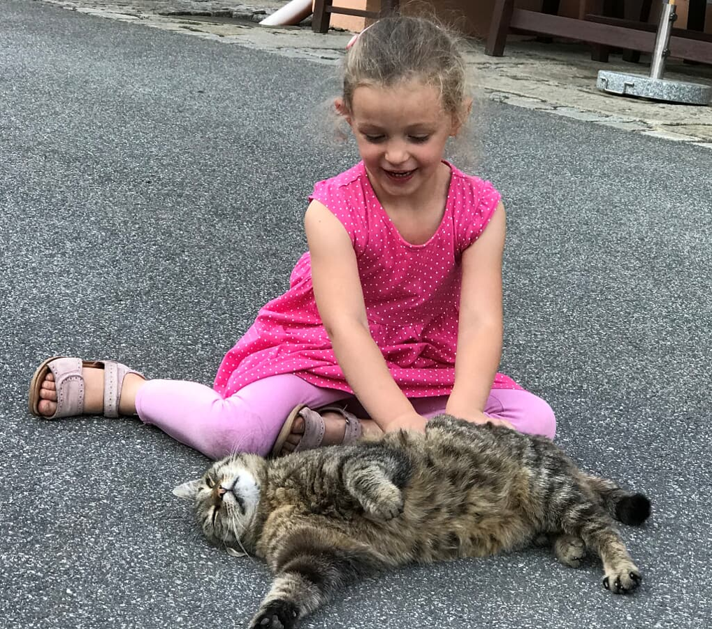 Fischerhof in Blaibach