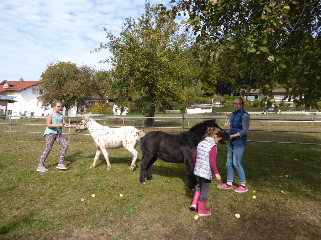 Fischerhof in Blaibach