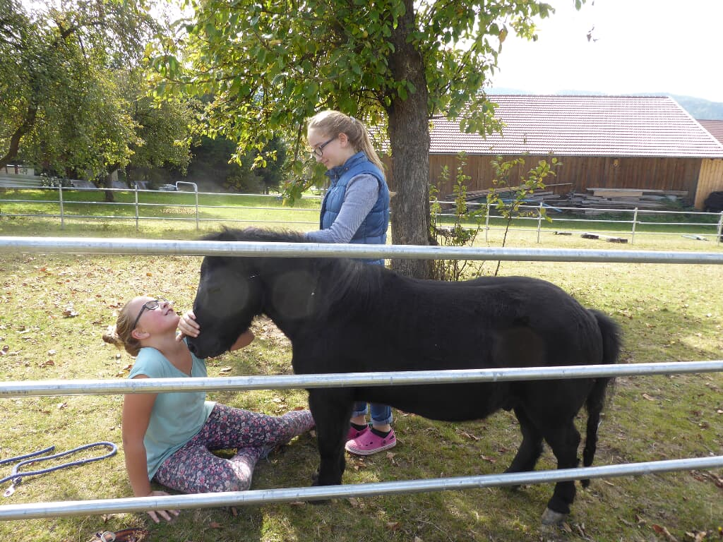 Fischerhof in Blaibach