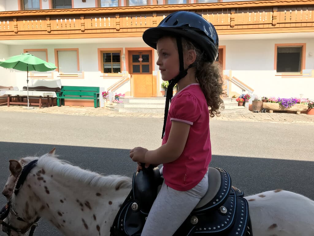 Fischerhof in Blaibach