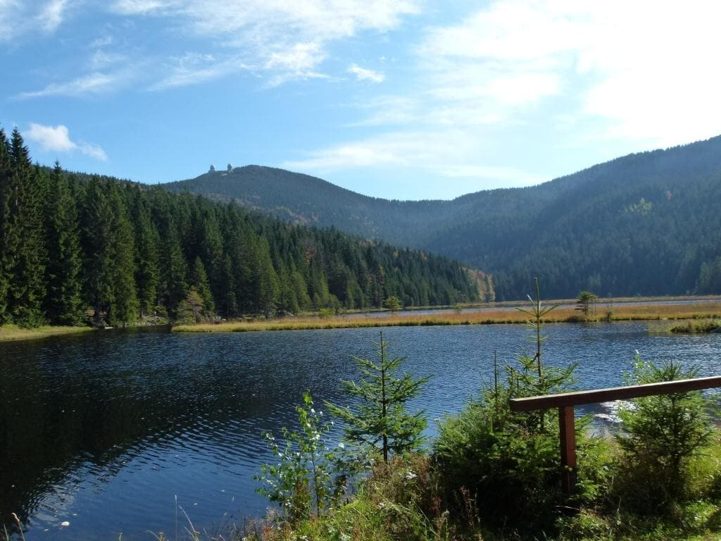 Ferienwohnung Rank in Blaibach