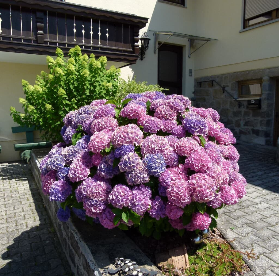 Ferienwohnung Rank in Blaibach