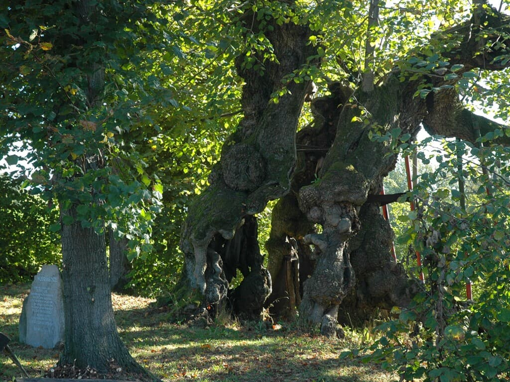 Ferienwohnung Rank in Blaibach