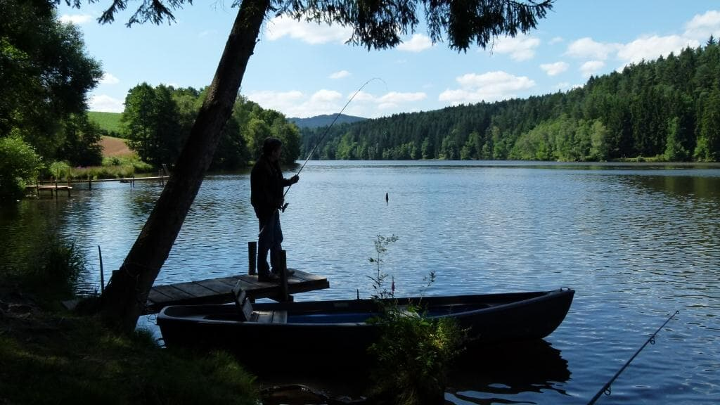 Ferienwohnung Rank in Blaibach