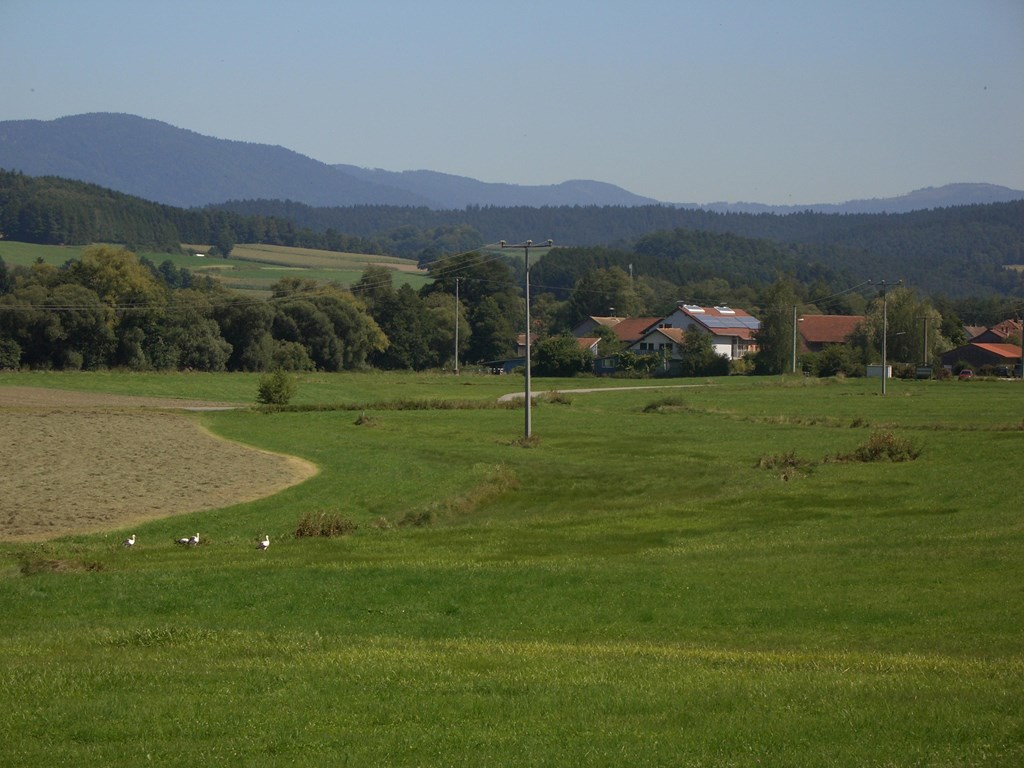 Landhaus am Fluß in Blaibach