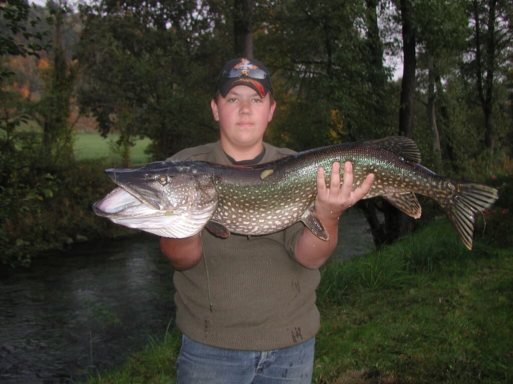 Ferienwohnung Rank in Blaibach