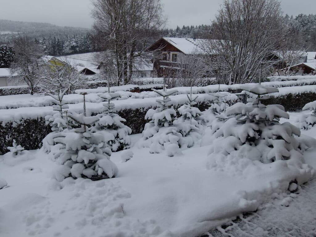 Ferienwohnung Rank in Blaibach