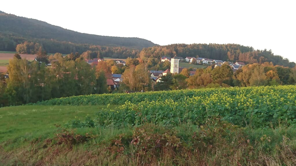 Ferienwohnung Kreuzer Lydia in Furth im Wald
