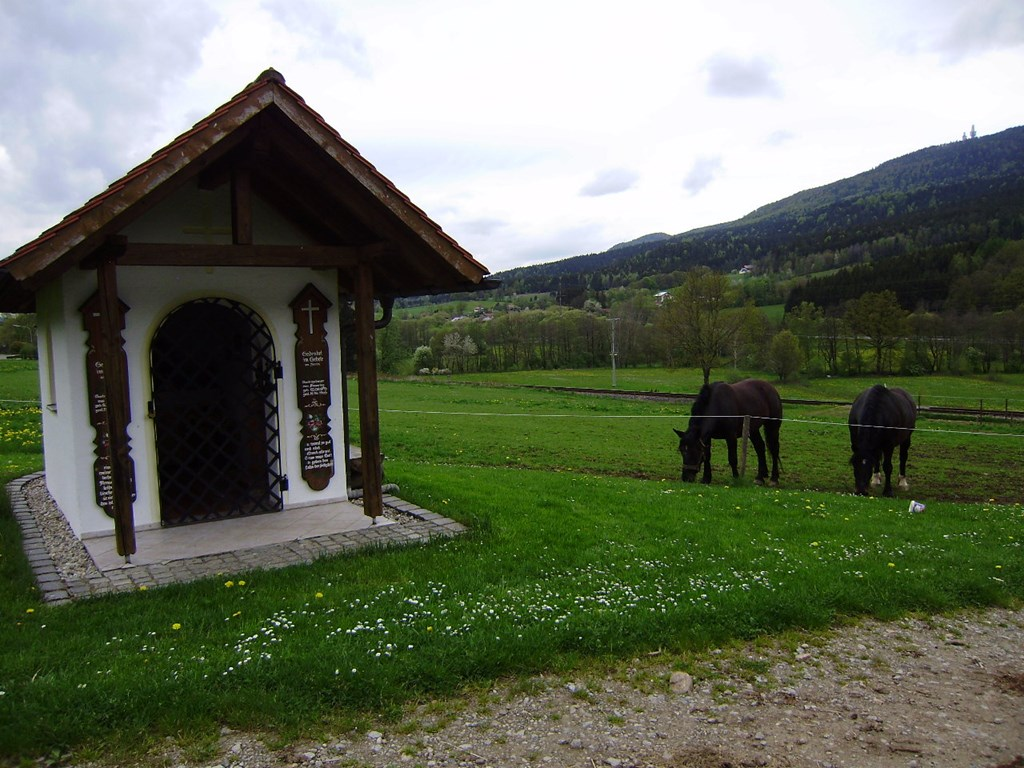 Gutscherhof in Hohenwarth
