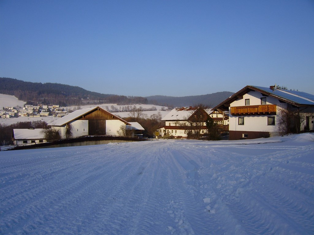 Gutscherhof in Hohenwarth