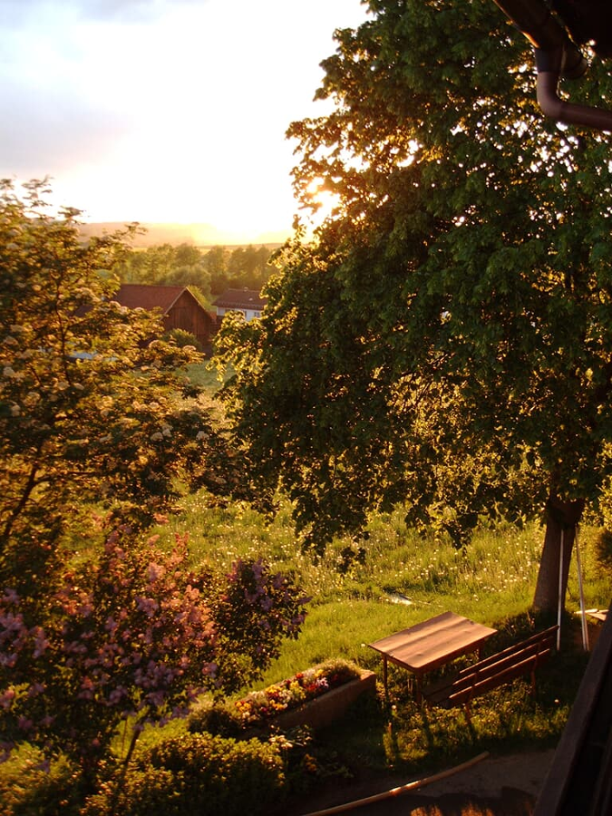 Moierhof in Treffelstein