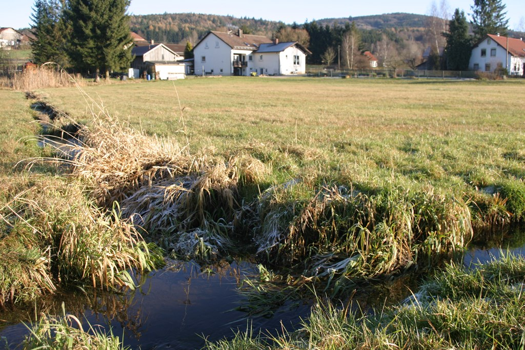Haus am Treffenbach in Waldmünchen