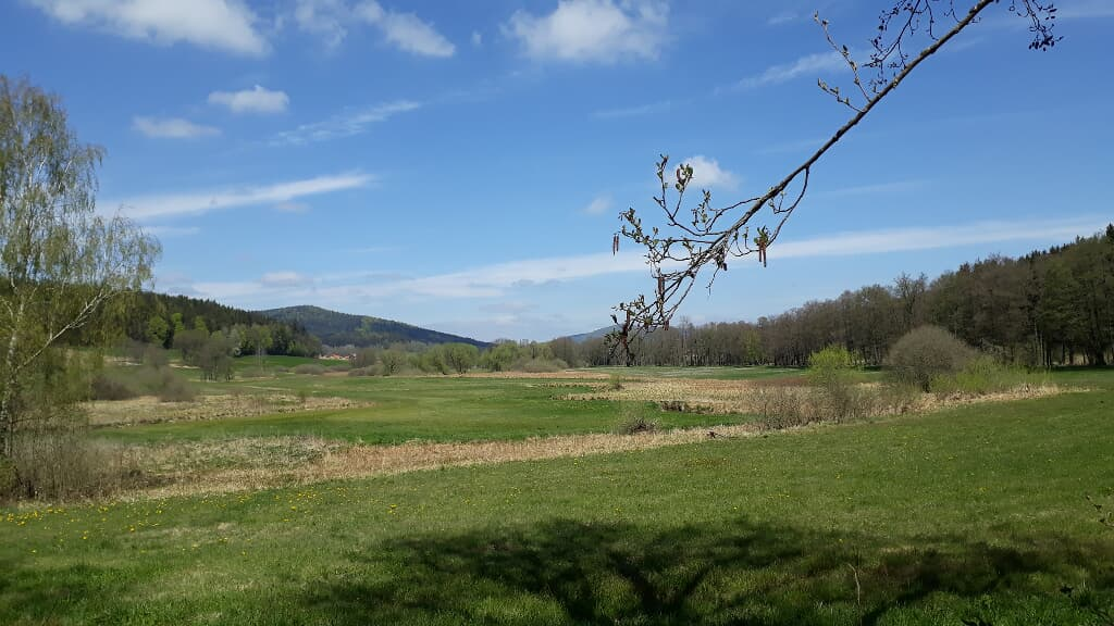 Allerheiligenkapelle Waldmünchen in Waldmünchen