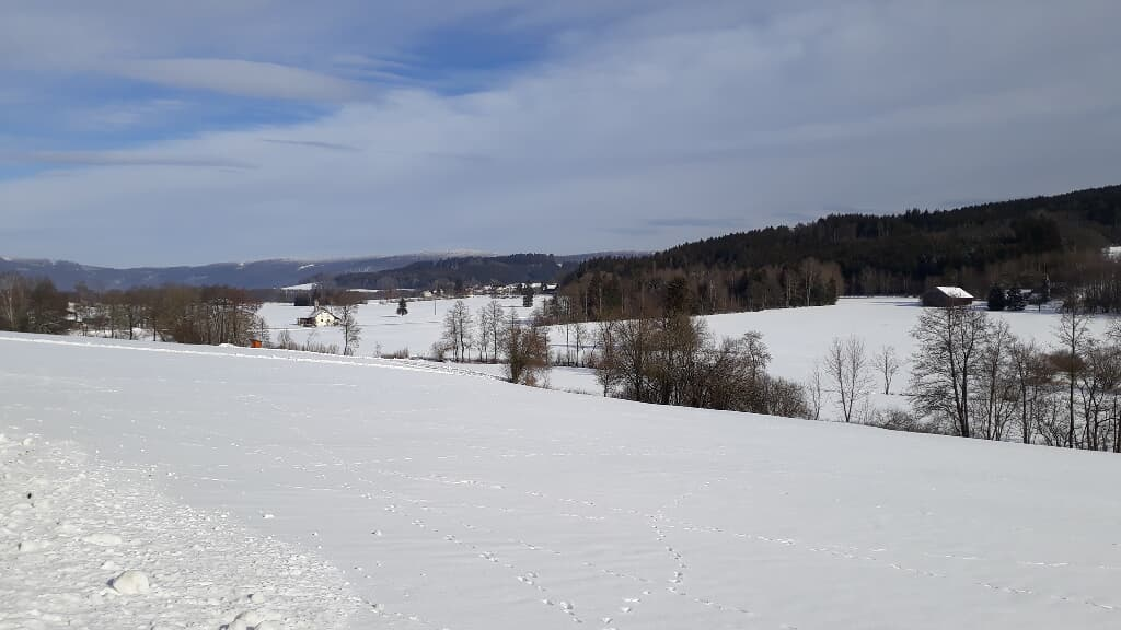 Allerheiligenkapelle Waldmünchen in Waldmünchen