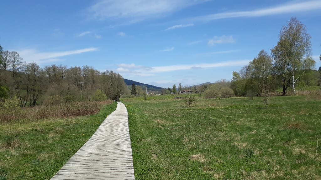Allerheiligenkapelle Waldmünchen in Waldmünchen