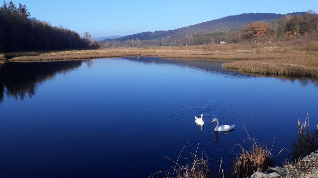 Allerheiligenkapelle Waldmünchen in Waldmünchen