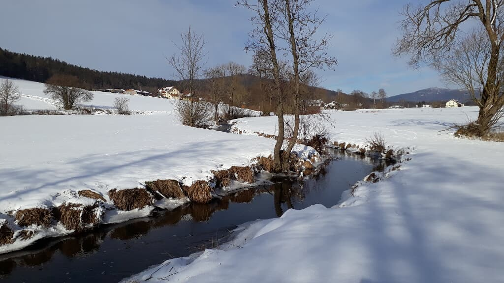 Allerheiligenkapelle Waldmünchen in Waldmünchen