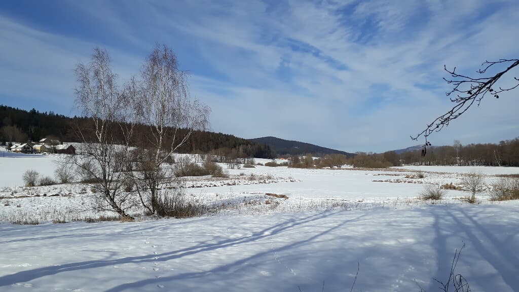 Allerheiligenkapelle Waldmünchen in Waldmünchen