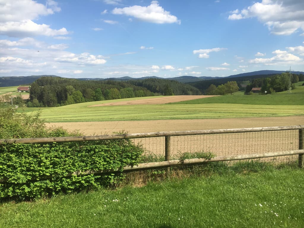 Ferienhaus- und Appartmentanlage 